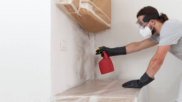 Professional Attic Mold Remediation technician working in Fulton, NY