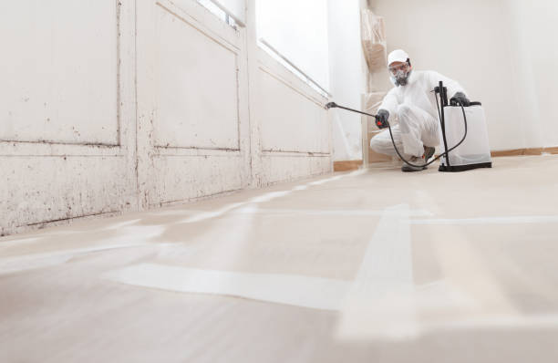 24/7 Emergency Attic Mold Remediation experts in Fulton, NY